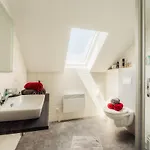 Arisa Iii * Hasselfelde